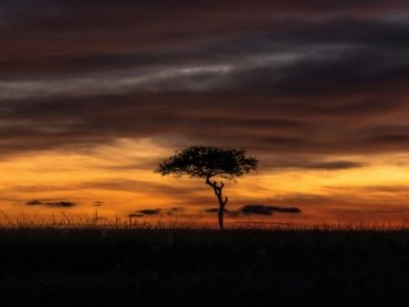 Maasai Mara Travel Guide